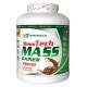 Powertech MassTech Mass Gainer 3600 Gr